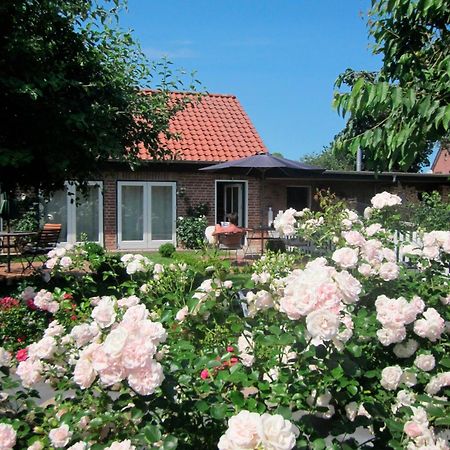 Apartmán "Rosenkate 1" Riepsdorf Exteriér fotografie