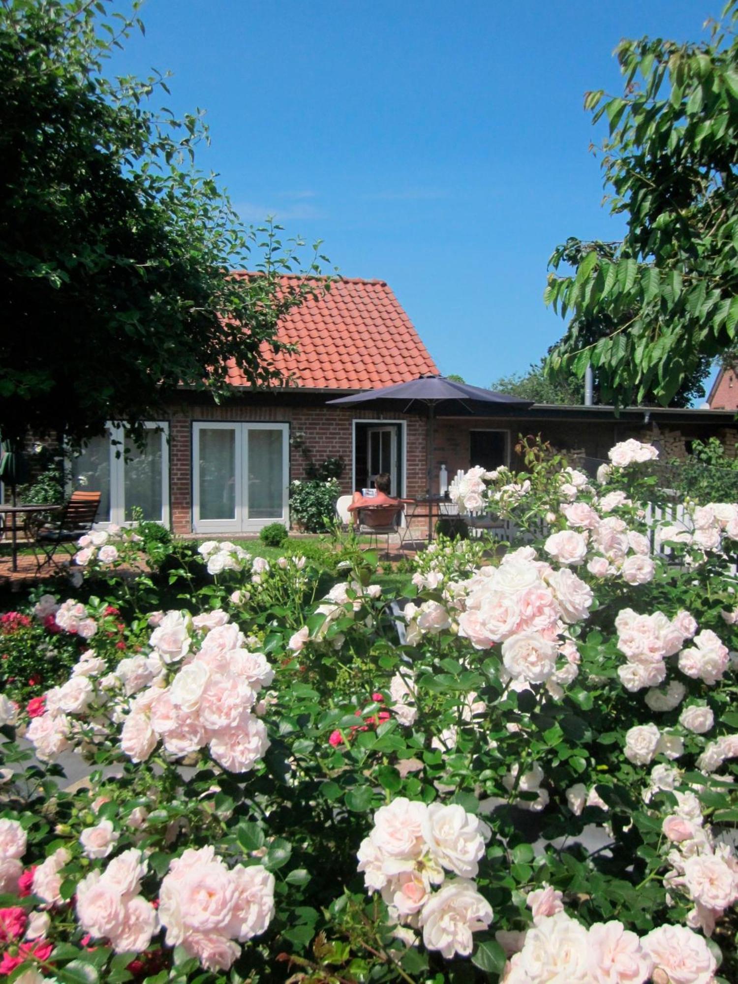 Apartmán "Rosenkate 1" Riepsdorf Exteriér fotografie
